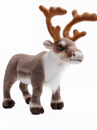 04-DSC0071_副本 (1)