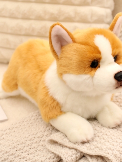 360截图20260225150944